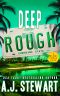 [A Miami Jones Case 06] • Deep Rough